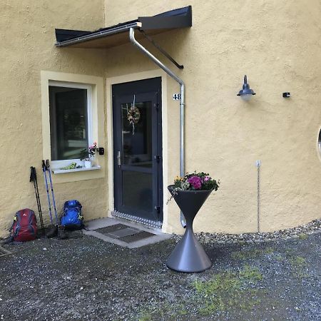 Ferienwohnung Uhlig Altenberg  Extérieur photo